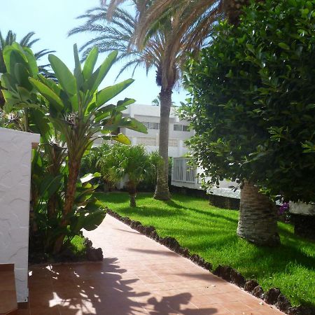 Elana Apartment With Free Wifi Costa Del Silencio Exterior photo