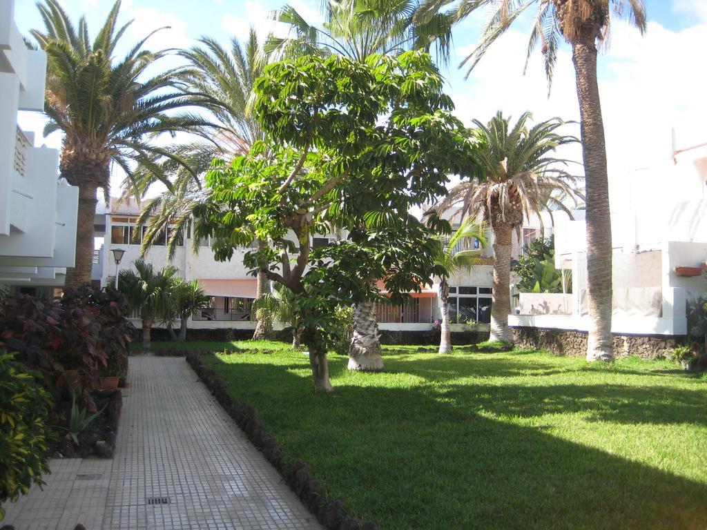 Elana Apartment With Free Wifi Costa Del Silencio Exterior photo